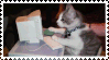 gif of cat tippy typing away